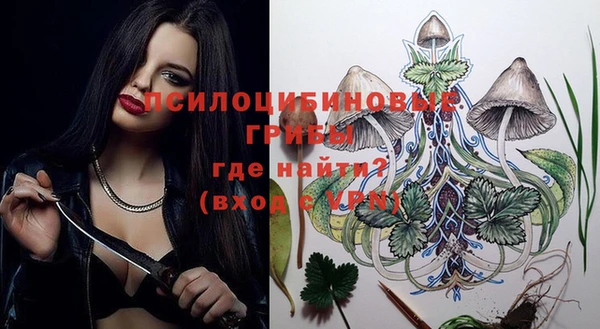 сатива Балабаново