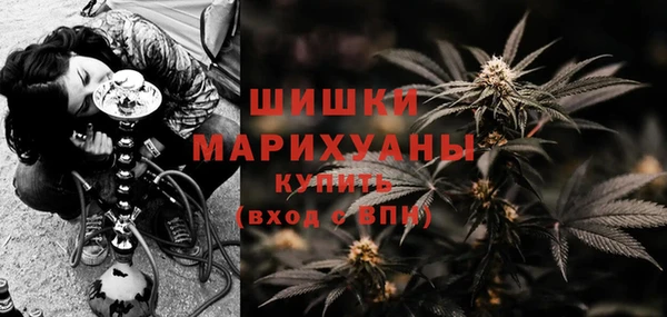сатива Балабаново
