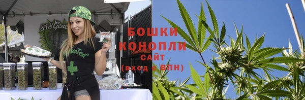 сатива Балабаново