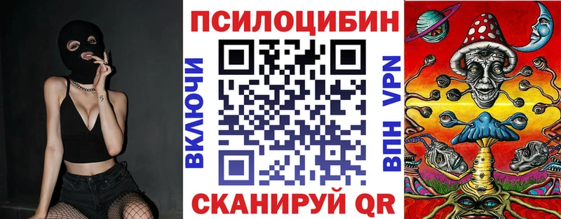 Псилоцибиновые грибы Psilocybe  Омск 