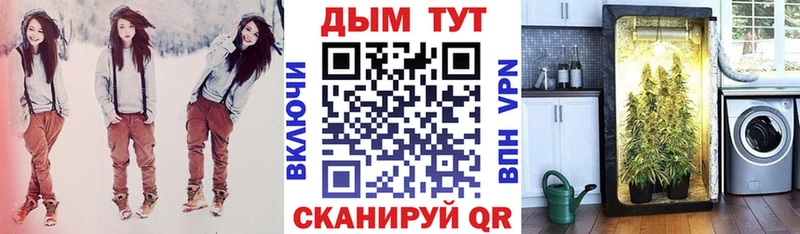 Шишки марихуана сатива Омск